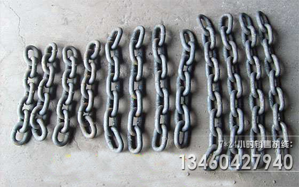 環鏈鬥式提升機鏈條