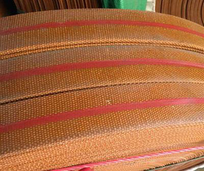 TD鬥式提升機皮帶