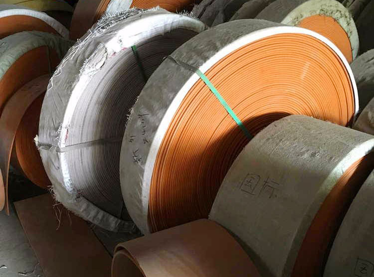 TD鬥式提升機皮帶